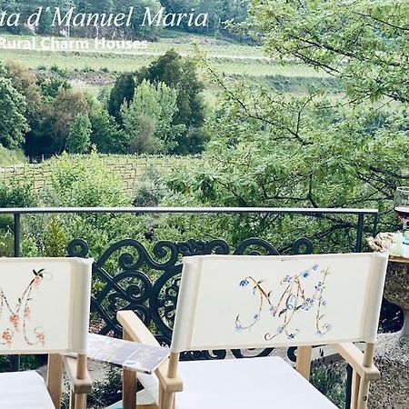 Amarante-Quinta D'Manuel Maria, Rural Charm Houses מראה חיצוני תמונה