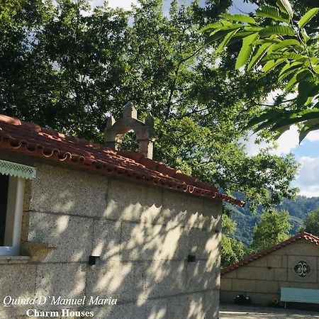 Amarante-Quinta D'Manuel Maria, Rural Charm Houses מראה חיצוני תמונה