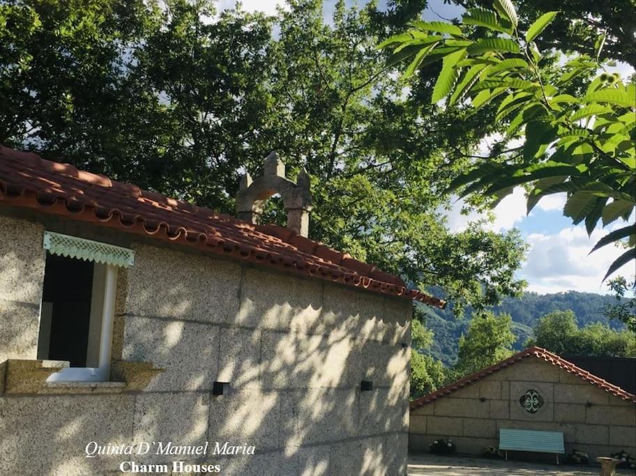 Amarante-Quinta D'Manuel Maria, Rural Charm Houses מראה חיצוני תמונה